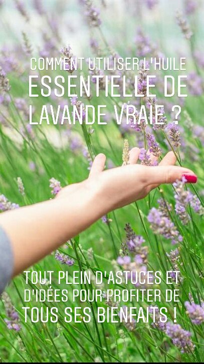 L'huile essentielle de lavande est extraire des sommités fleuries de la lavande