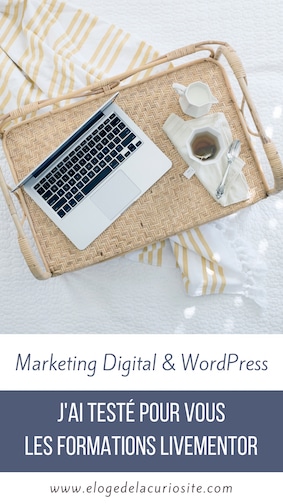 J'ai testé pour vous les formations LiveMentor Marketing Digital WordPress, voici mon avis- blogging