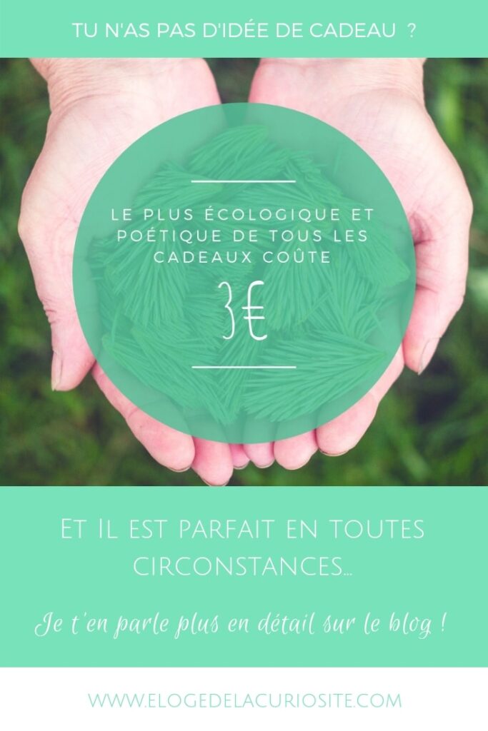 le cadeau le plus écologique et poétique pour les naissances, baptêmes, mariages, anniversaires, noël, fête des mères, fête des pères...