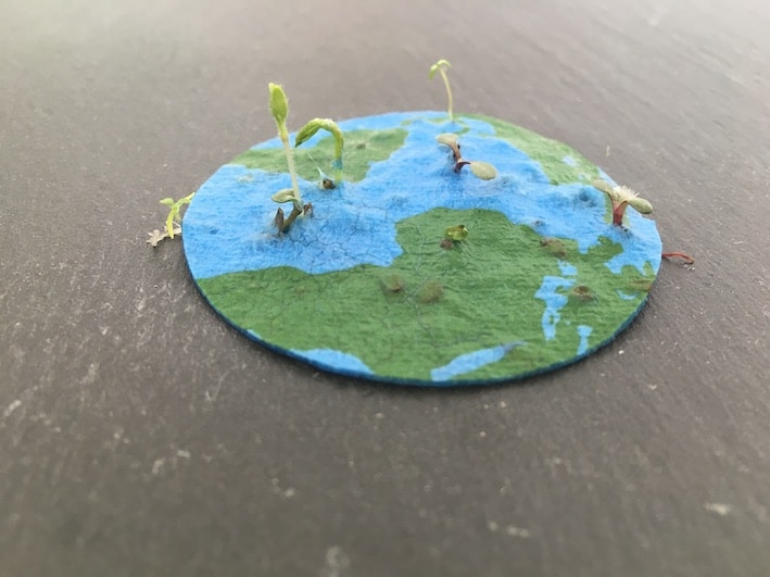 Papier Ensemencé - Germination - Découvrez le papier ensemencé (seed paper) une idée incroyable pour vos faire parts, packagings, papeterie, cartes de voeux et de remerciements... Mettez-le en terre, arrosez-le, il pousse !