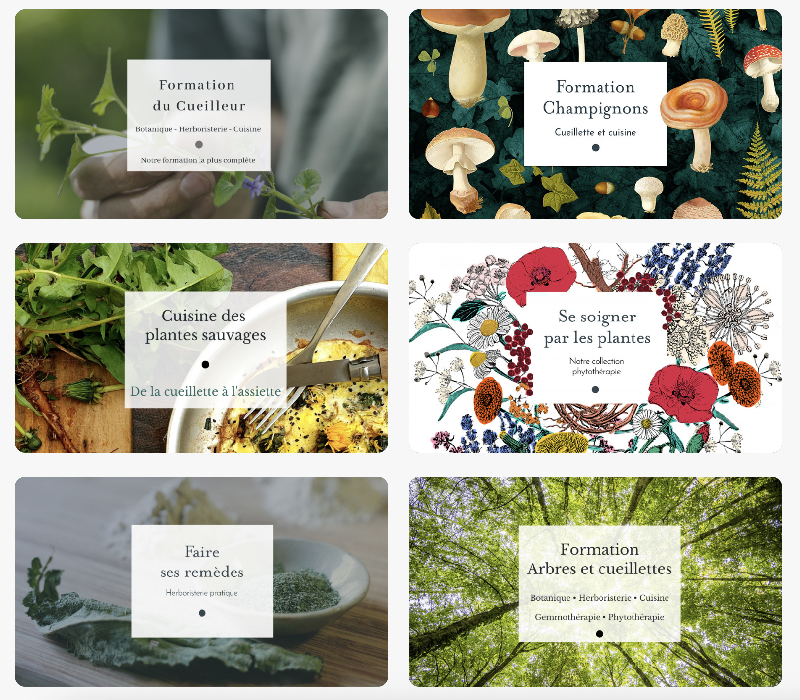 idée cadeau homme nature plantes sauvages champignons formation en ligne