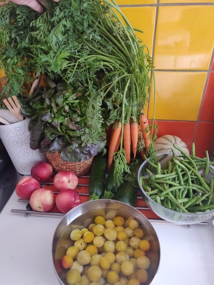 Potager city panier fruits et légumes se saison biologique locaux livrés paris ville chaque semaine