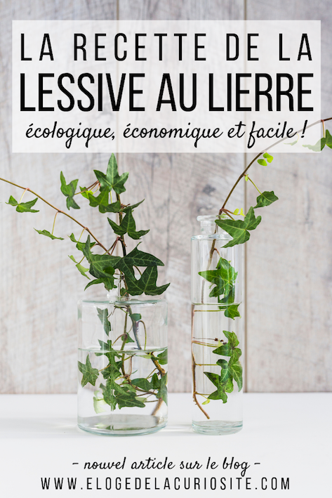 La recette de la lessive au lierre maison ! Un DIY facile, écologique, zéro-déchet et économique ! #zérodéchet #zerodechet #lessive #recette #lierre #maison #faitmaison #écologique #naturel #nontoxique #santé