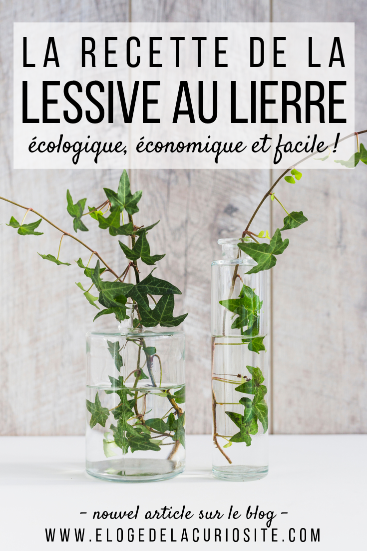 La recette de la lessive au lierre maison ! Un DIY facile, écologique, zéro-déchet et économique ! #zérodéchet #zerodechet #lessive #recette #lierre #maison #faitmaison #écologique #naturel #nontoxique #santé