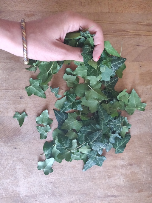 La recette de la lessive au lierre maison ! Un DIY facile, écologique, zéro-déchet et économique ! #zérodéchet #zerodechet #lessive #recette #lierre #maison #faitmaison #écologique #naturel #nontoxique #santé