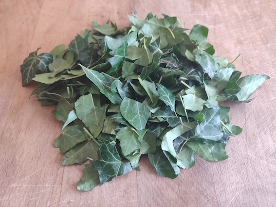 La recette de la lessive au lierre maison ! Un DIY facile, écologique, zéro-déchet et économique ! #zérodéchet #zerodechet #lessive #recette #lierre #maison #faitmaison #écologique #naturel #nontoxique #santé
