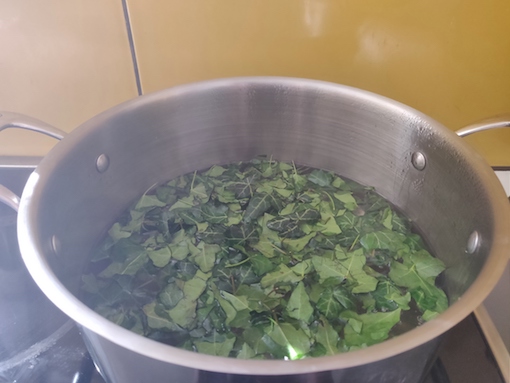 La recette de la lessive au lierre maison ! Un DIY facile, écologique, zéro-déchet et économique ! #zérodéchet #zerodechet #lessive #recette #lierre #maison #faitmaison #écologique #naturel #nontoxique #santé