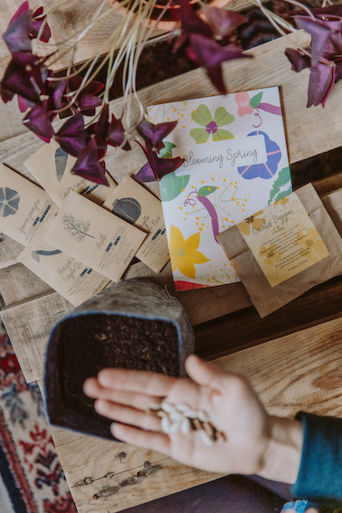 Idée de cadeau écolo - la box à planter, box de jardinage bio