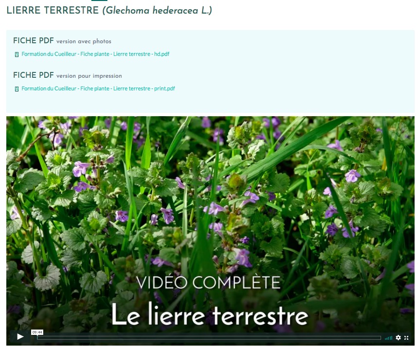 test avis le chemin de la nature formation du cueilleur cueillette de plantes sauvages botanique herboriste herbaliste phytothérapie aromathérapie gemmothérapie #cueillette #botanique #survivalisme
