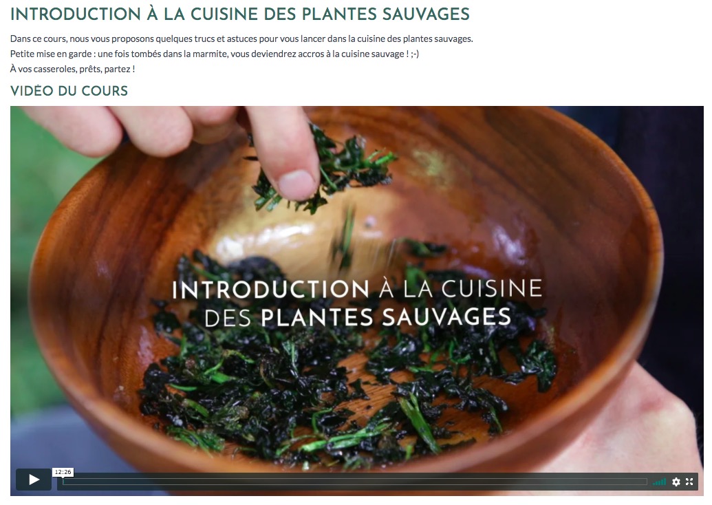 test avis le chemin de la nature formation du cueilleur cueillette de plantes sauvages botanique herboriste herbaliste phytothérapie aromathérapie gemmothérapie #cueillette #botanique #survivalisme