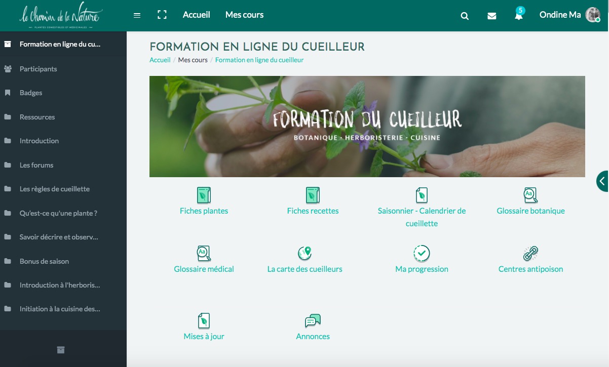 test avis le chemin de la nature formation du cueilleur cueillette de plantes sauvages botanique herboriste herbaliste phytothérapie aromathérapie gemmothérapie #cueillette #botanique #survivalisme
