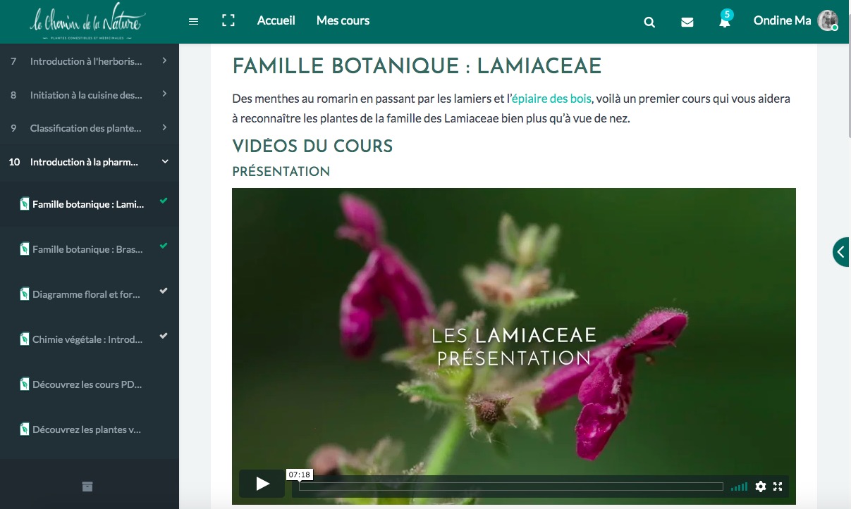 test avis le chemin de la nature formation du cueilleur cueillette de plantes sauvages botanique herboriste herbaliste phytothérapie aromathérapie gemmothérapie #cueillette #botanique #survivalisme