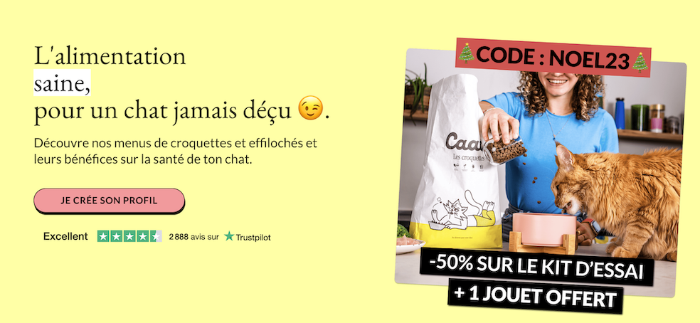 idée cadeau chat nourriture criquette pâtées menu lpersonnalisé noël