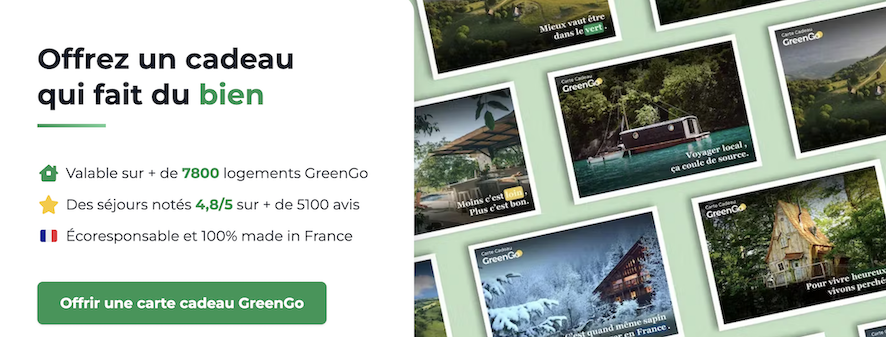 idée cadeau voyage carte cadeau greengo