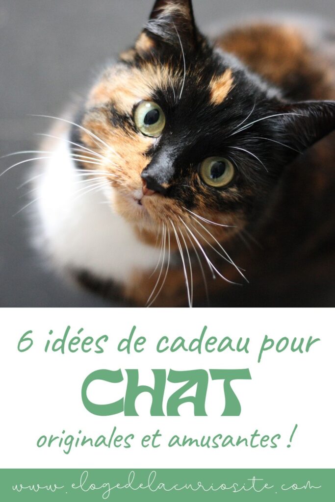 idées cadeau pour chat originales écolo fan de chat maitre amusant